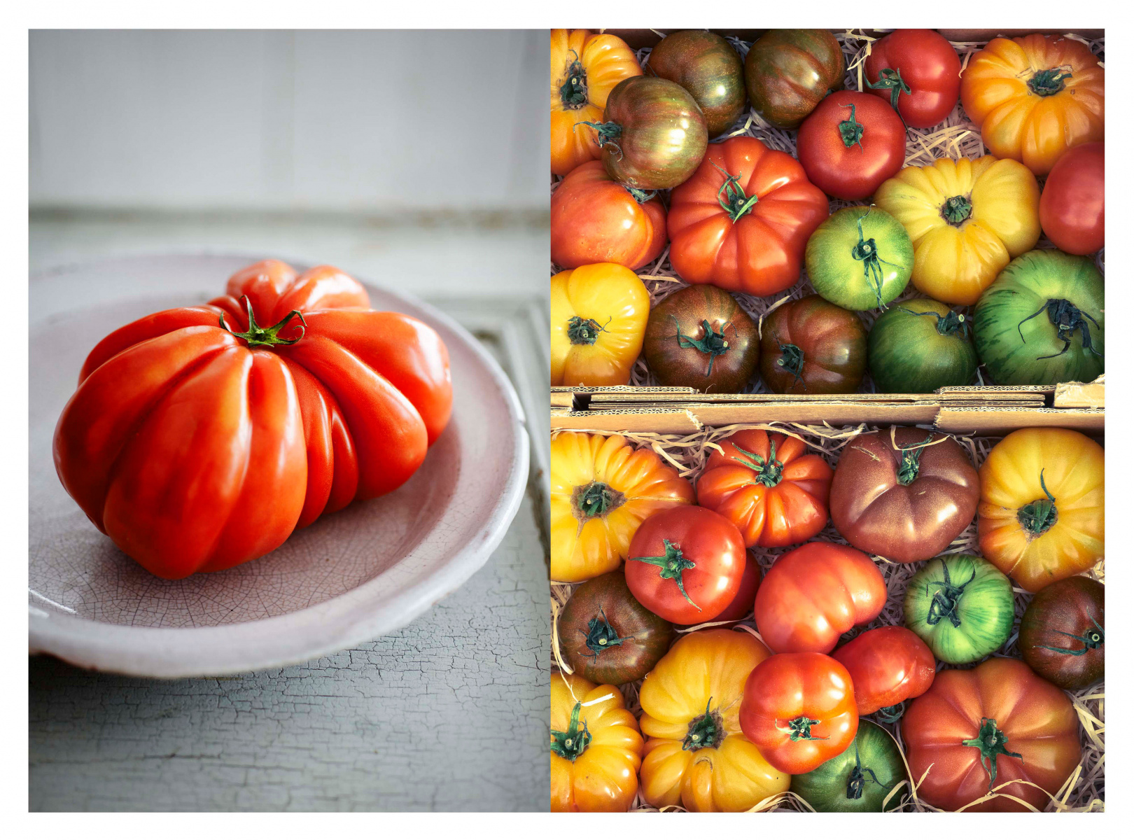 48.Tomatoes-Diptych