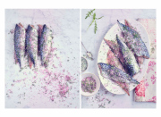 17.Mackerel-Gradvalax-Diptych