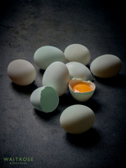 1_13.Eggs_WR1_V3
