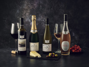 Wine-Main-Group_v01