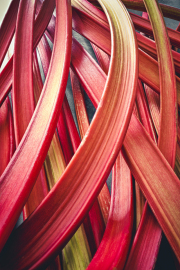 Rhubarb-v2-RT-SFW